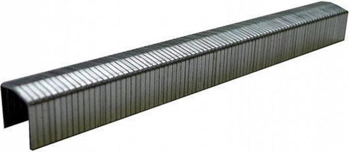 Image du produit Bostitch Staples (5000 x)