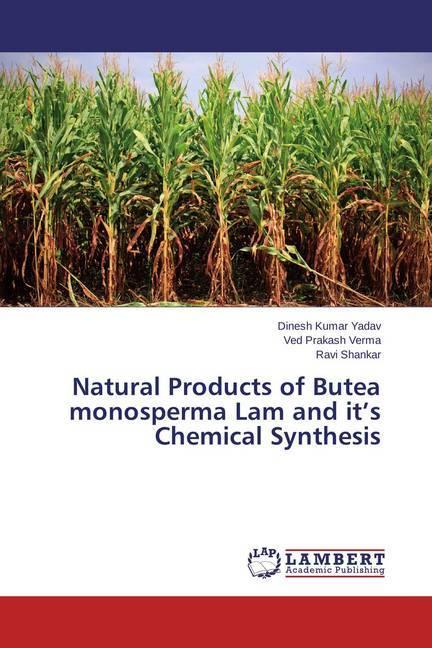Image du produit Natural Products of Butea monosperma Lam and it's Chemical Synthesis (Ravi Shankar, Ved Prakash Verma, Dinesh Kumar Yadav, 2015)