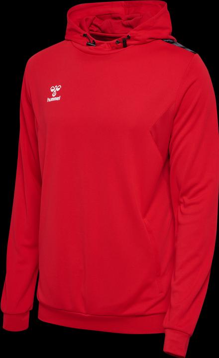 Actual product image hummel Hmlauthentic Pl Hoodie (M)