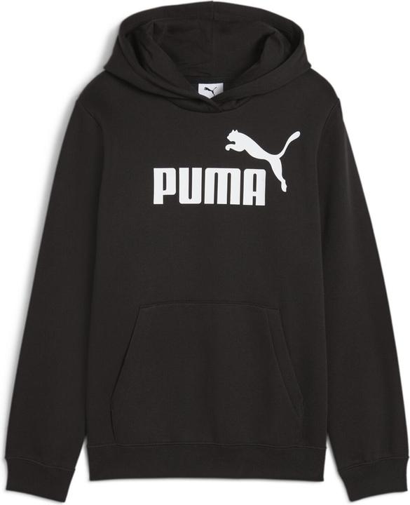Actual product image Puma ESS No. 1 Logo Hoodie FL G (164)