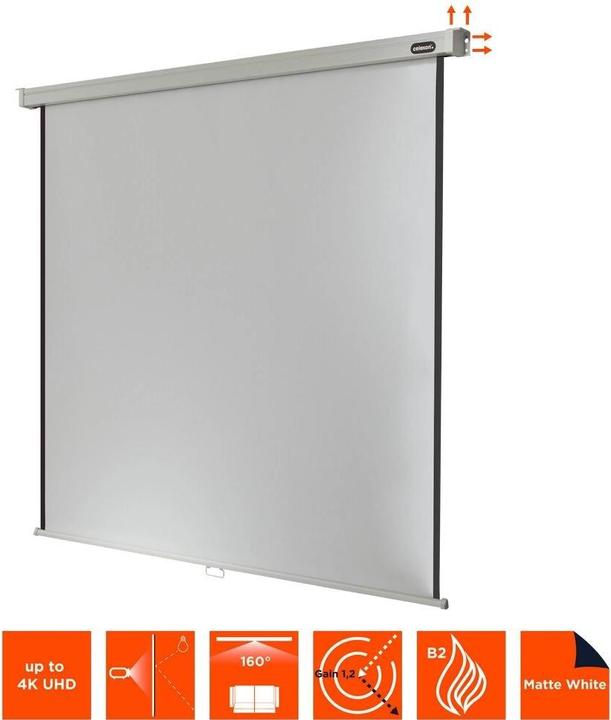 Produktbild Celexon Rollo Professional, Leinwand, 1:1 (97.24", 1:1)