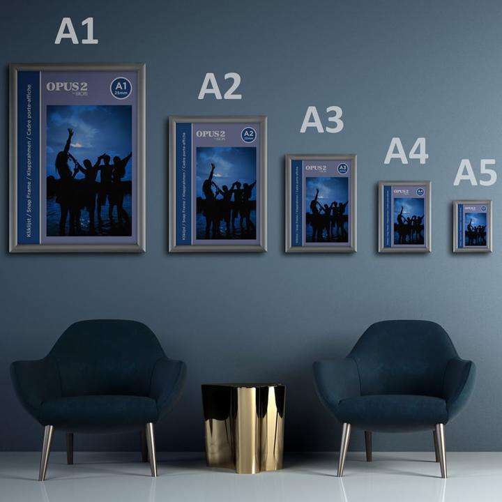 Actual product image Europel Picture frame (A1)