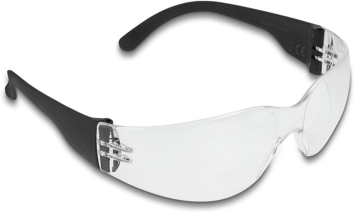 Delock Schutzbrille Sichtscheiben klar, inklusiv Brillentasche Klar