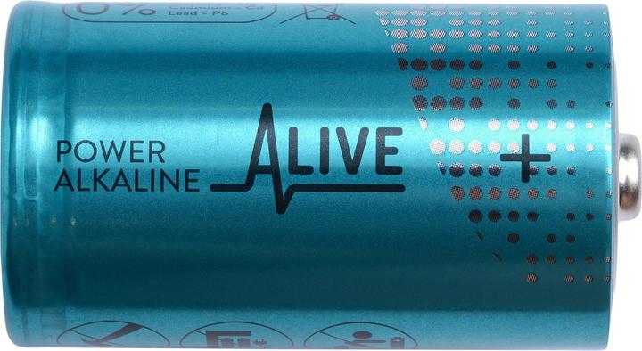 Produktbild Batterie Alkaline (2 Stk., D, 14000 mAh)
