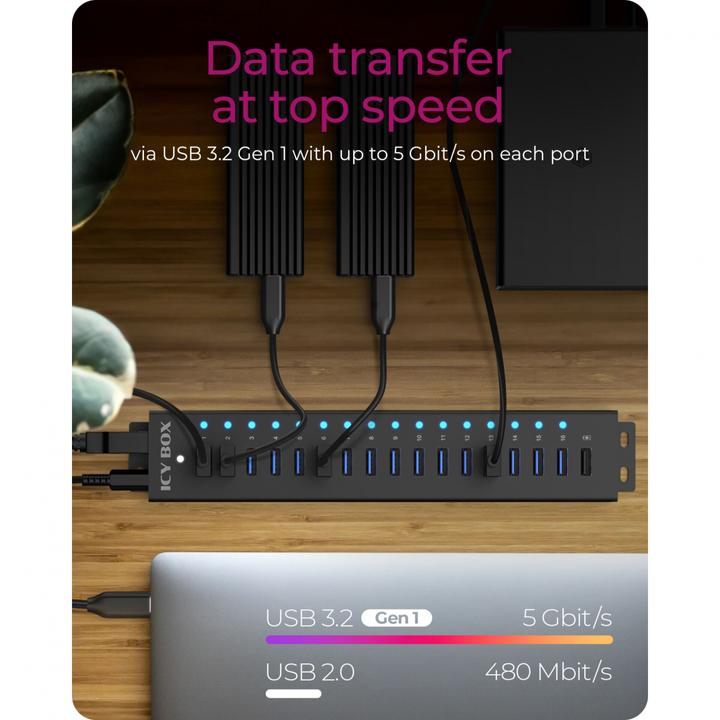 Immagine prodotto Icy Box IB-HUB1717-U3 (USB-C, 17 Porti)