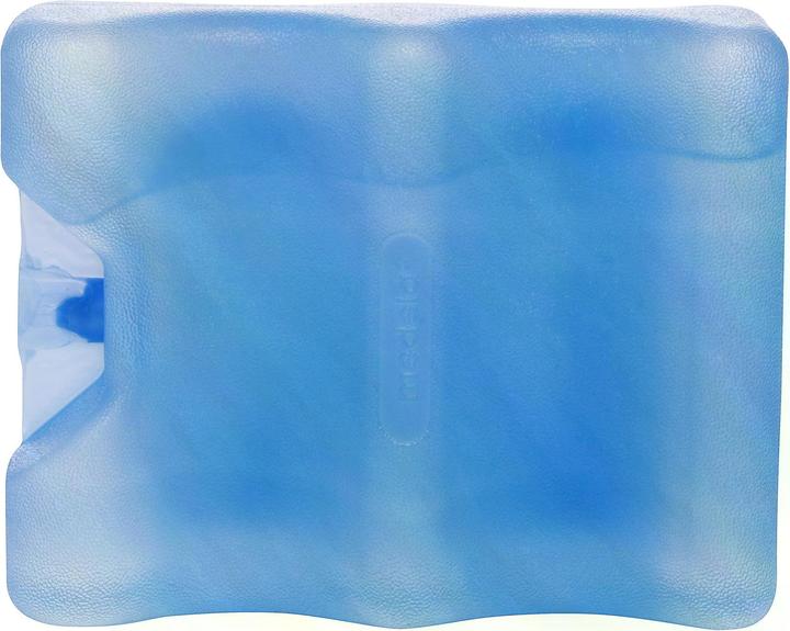 Actual product image Medela Cooler bag with 4 milk bottles and 1 cooling element (0.15 l)