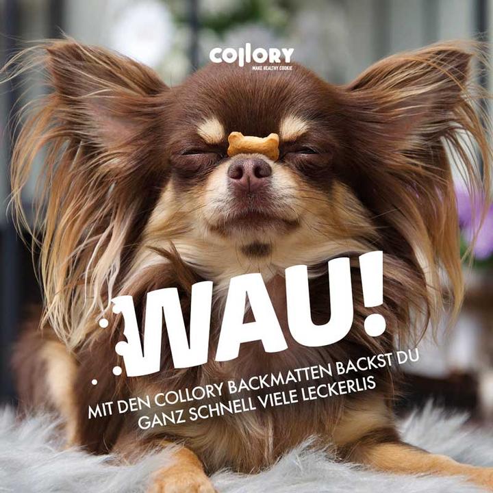 Actual product image Collory Baking mat for large dog treats Bones