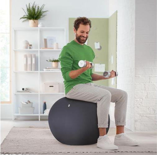 Image du produit Leitz Balle d'assise Active Ø 65cm gris velours (65 cm)