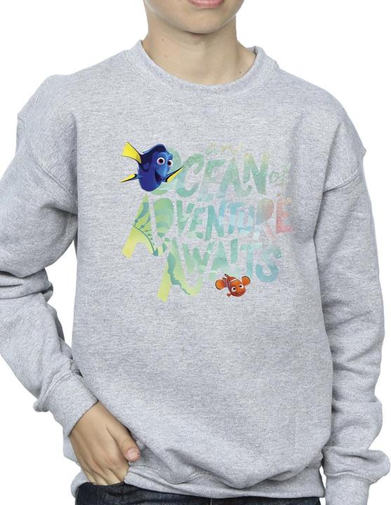 Image du produit Disney - Sweat FINDING DORY OCEAN OF ADVENTURE - Garçon (140, 146)