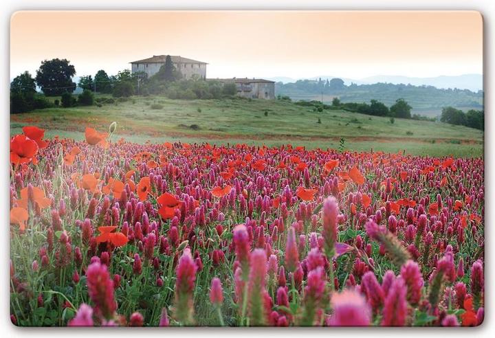 Produktbild Trenddeko Blumenwiese Toskana (60 x 40 cm)