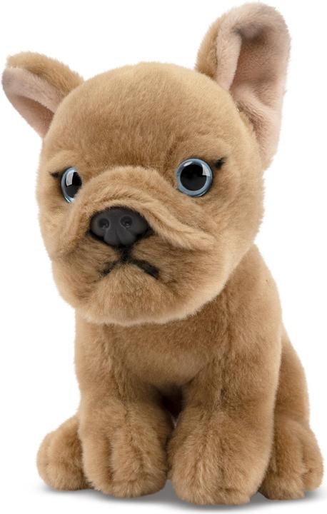 Image du produit Living Nature Französische Bulldogge Welpe beige (17 cm)