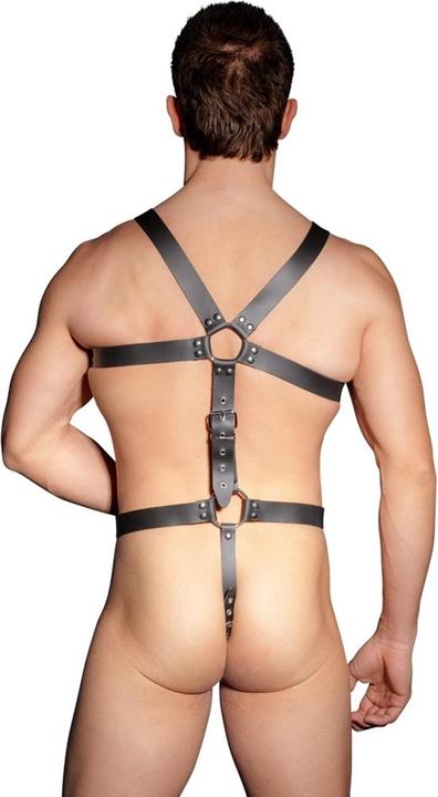 Actual product image Zado harness (S, M, L)