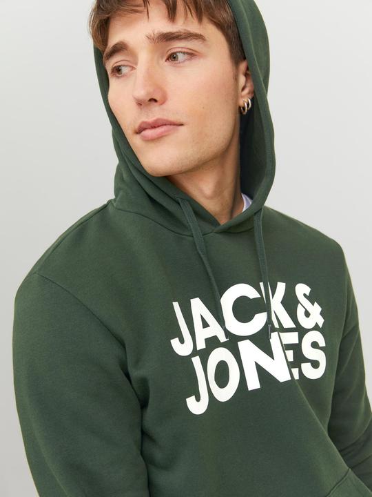 Image du produit Jack & Jones Logo Hoodie (L)