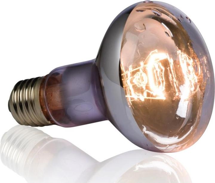 Image du produit Exo Terra Bassin d'eau chaude R20 / 50W (Résistant aux éclaboussures)