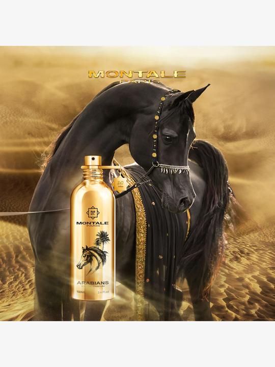 Image du produit Montale Arabians (Eau de parfum, 100 ml)