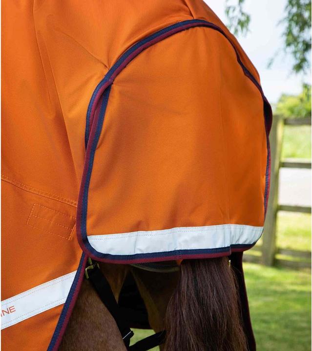 Produktbild Premier Equine Buster Hardy 200 g (183 cm)