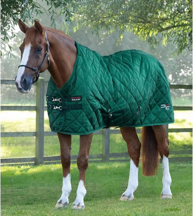 Immagine prodotto Premier Equine Tuscan 200 g (160 cm)