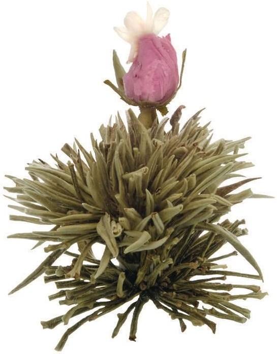 Image du produit Creano Le thé en fleur (0.50 l)