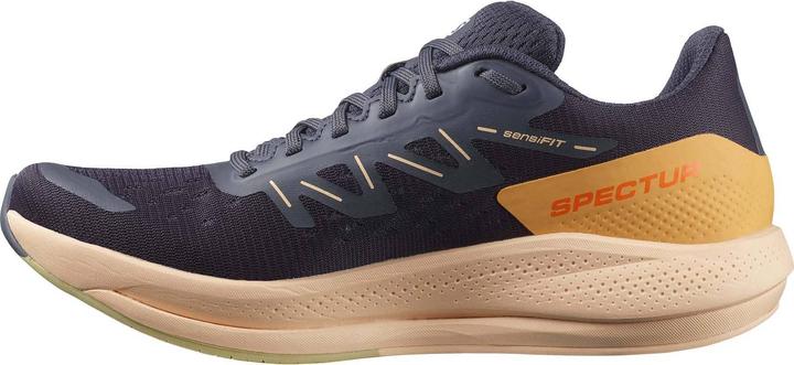 Salomon Spectur (40)