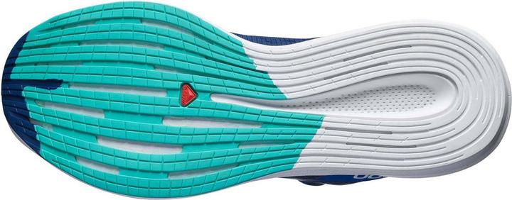 Actual product image Salomon Spectur (42)