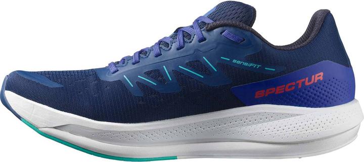 Salomon Spectur (43 1/3)