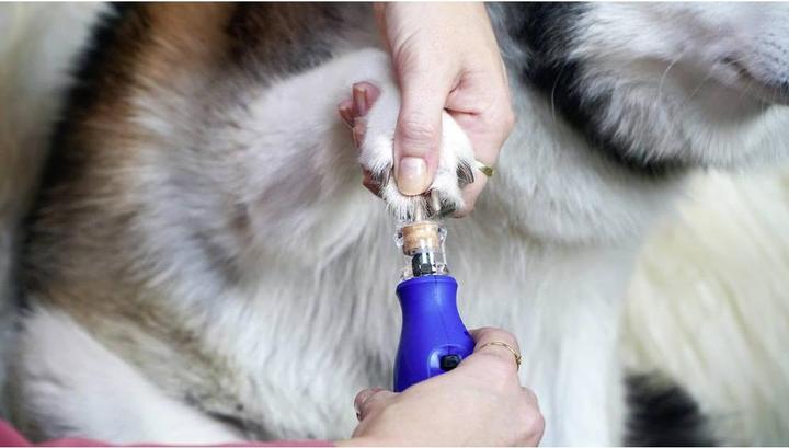 Productafbeelding Dremel Tierkrallenpflege