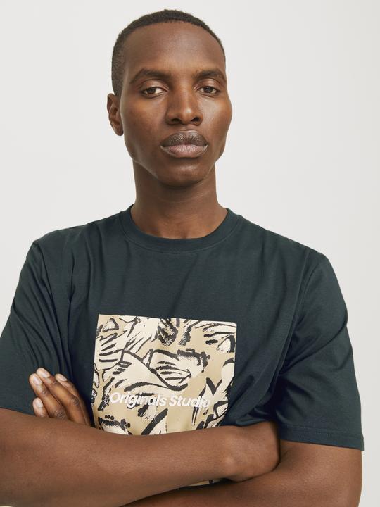 Image du produit Jack & Jones Jorvesterbro Newton Boxfront Tee Ss Bf (S)
