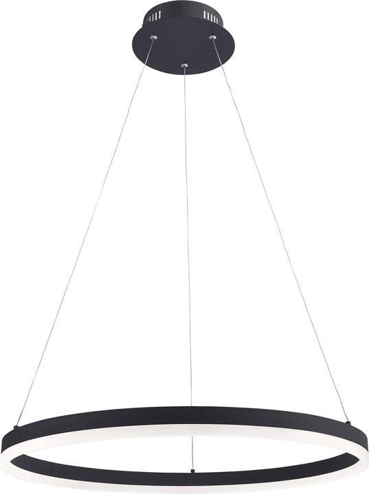 Image du produit Paul Neuhaus Titus (4500 lm)