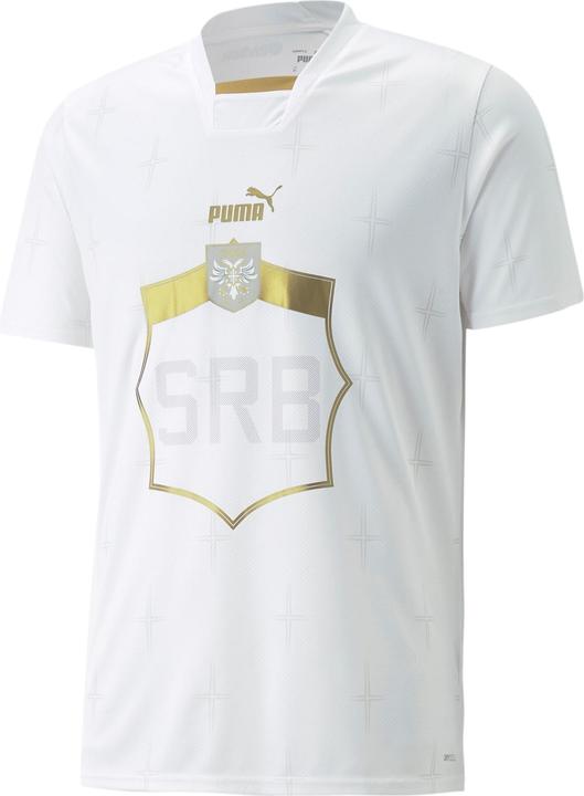 Puma FSS Away Shirt Replica (L)