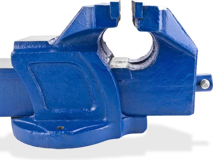 Actual product image Dema Vice 'Profi ' solid cast iron 200mm 36kg (200 mm)