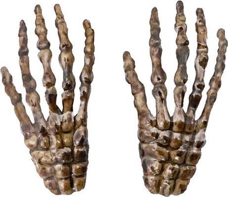 Actual product image Chaks Skeleton hands