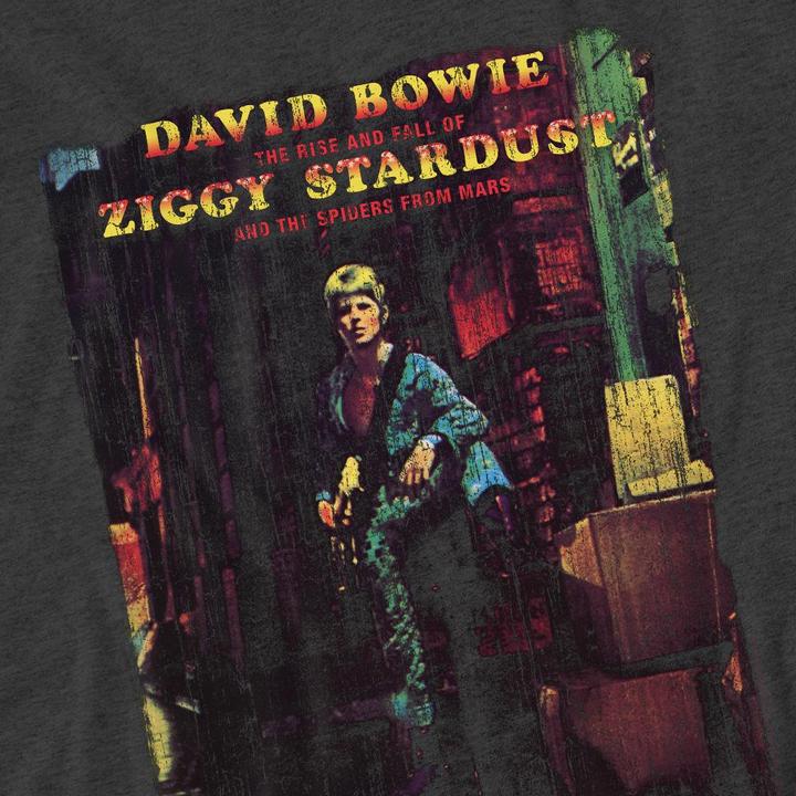 Produktbild David Bowie Ziggy Stardust Album TShirt (L)