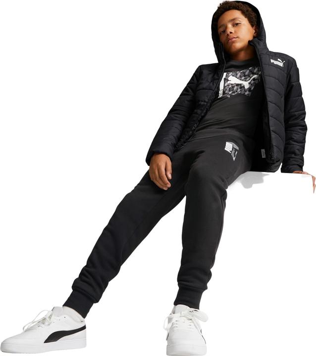 Image du produit Puma Veste ESS Padded (128)