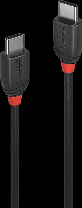 Actual product image Lindy black line (0.50 m, USB 3.1)