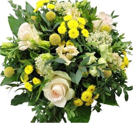 Myflower Sonnenschein (Schnittblumen)