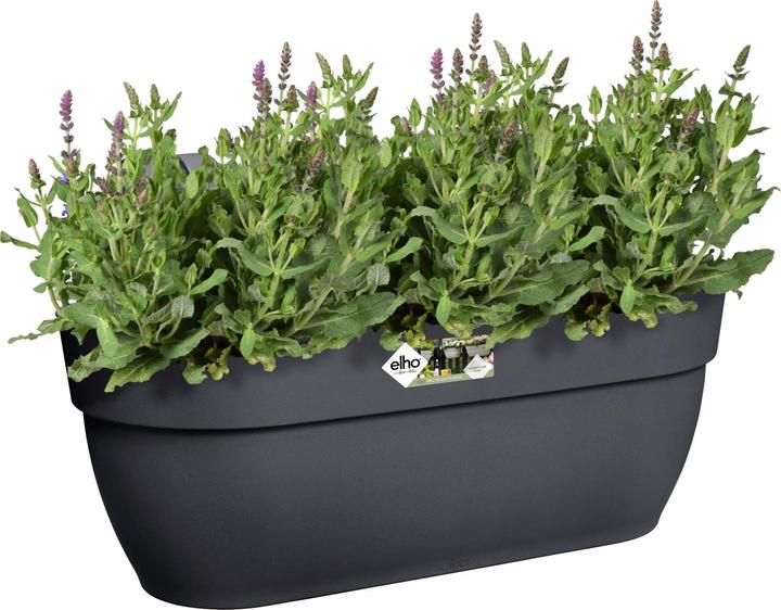 Image du produit Elho Vibia Campana Easy (46 cm)