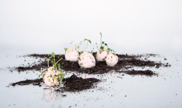 Produktbild Rayher Samenbomben-Bastelset
