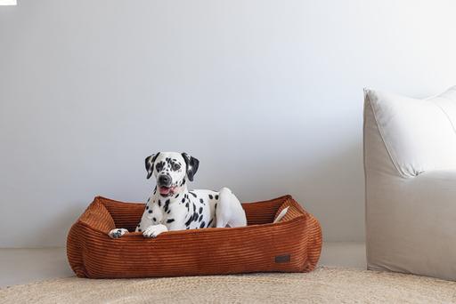 Image du produit Designed by Lotte Ribbed (Chien)