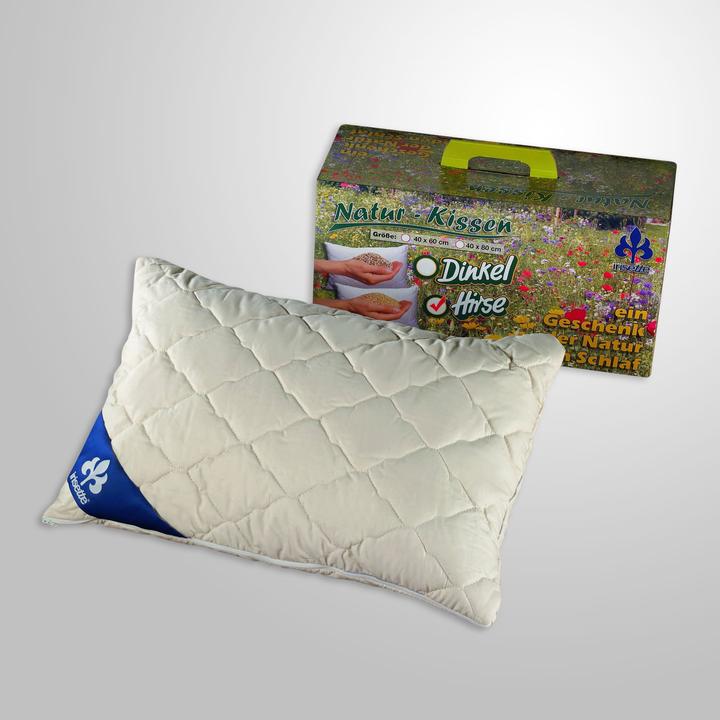 Image du produit Irisette Oreiller en millet (40 x 60 cm)