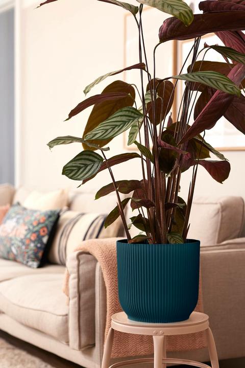 Produktbild Elho Vibes (29.50 cm)