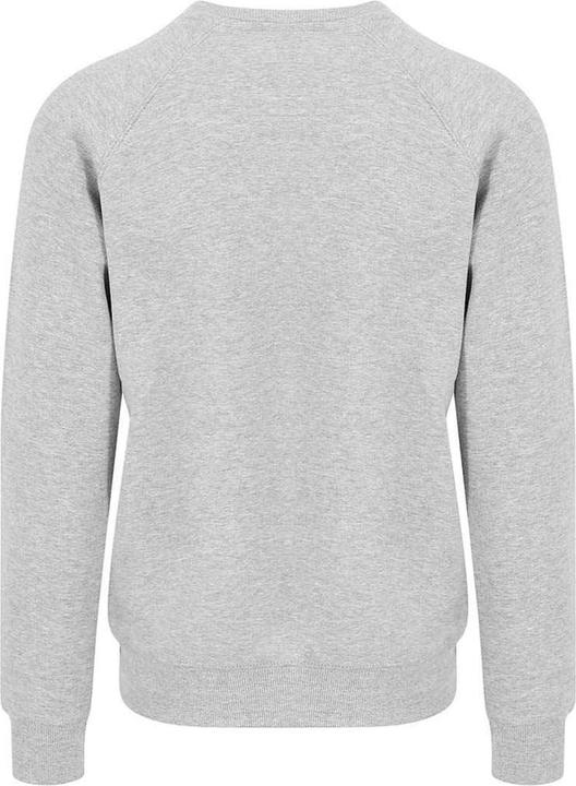 Actual product image Awdis Mens Graduate Heavyweight Sweatshirt (XL)