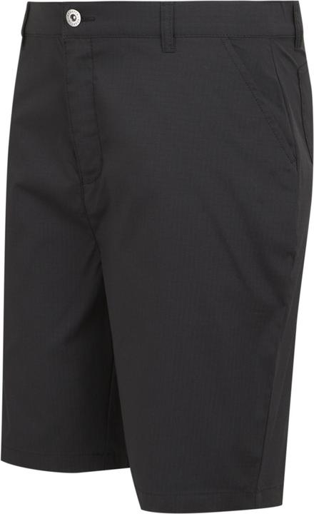 Actual product image Regatta Mens Dalry Multi Pocket Shorts (38)