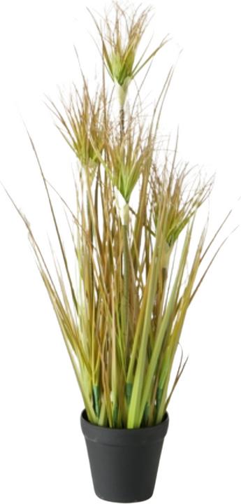 Actual product image Boltze Home Boltze potted onion grass 60 cm