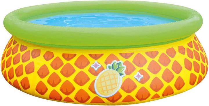 Produktbild Jilong Ananas