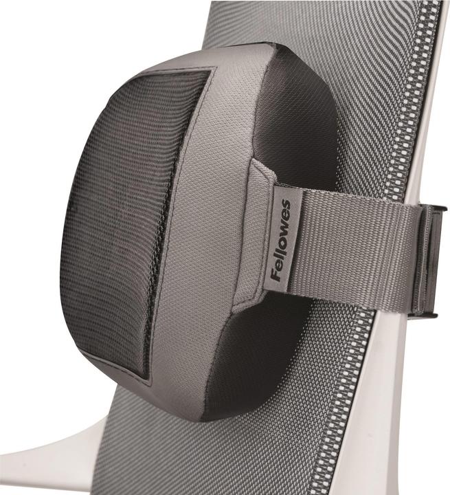 Immagine prodotto Fellowes Cuscino lombare, poliestere (35 x 6 x 16 cm)
