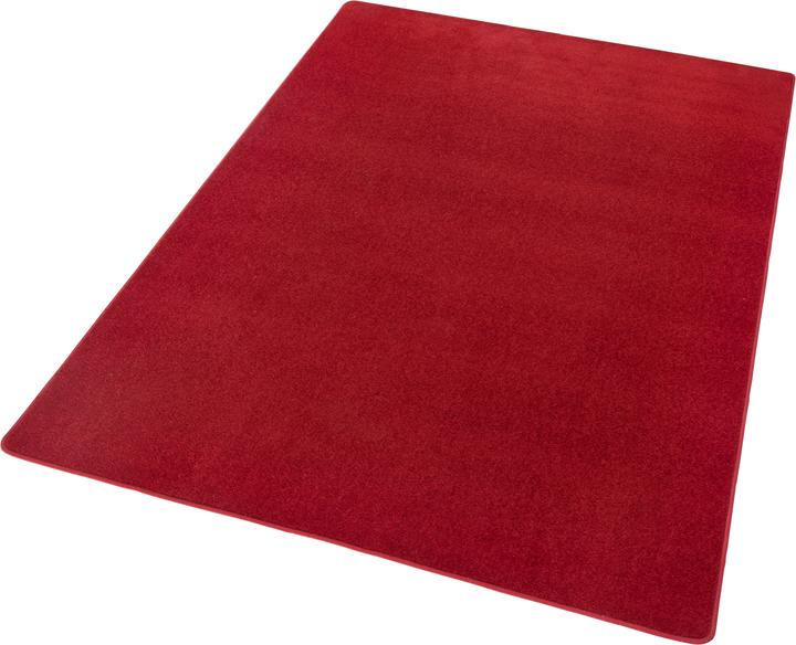 Image du produit Hanse Home Fancy (150 x 80 cm)