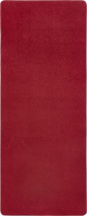 Rot