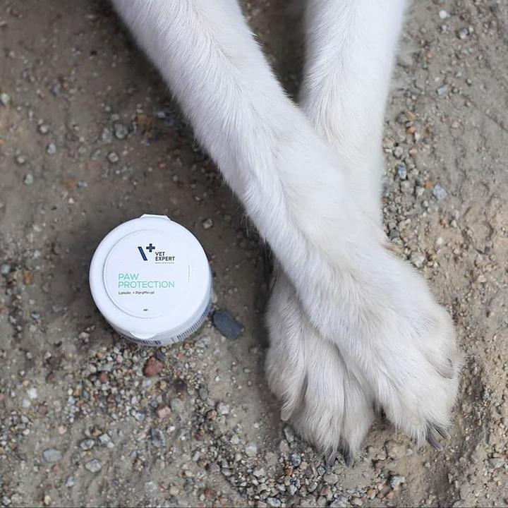 Produktbild Vet Expert Pfotenpflege (Hund, Katze, 75 ml)