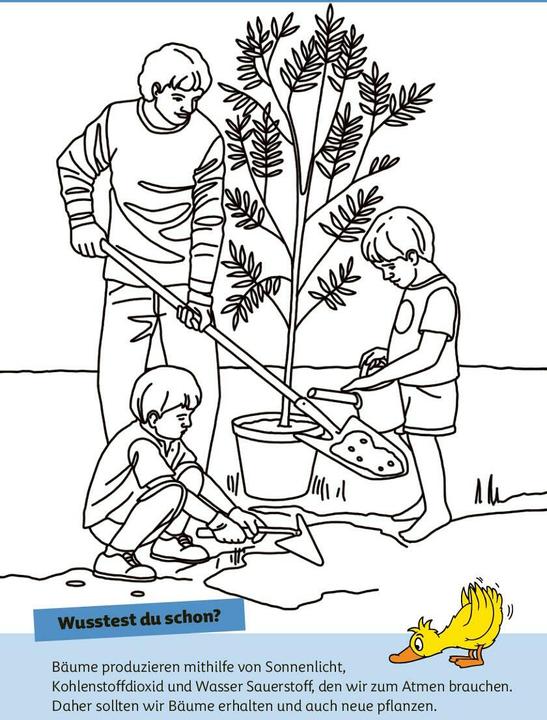 Actual product image Die Maus - Malblock mit Sachwissen Klima und Erde (German, pen2nature, Fiona Osbaldstone, 2024)