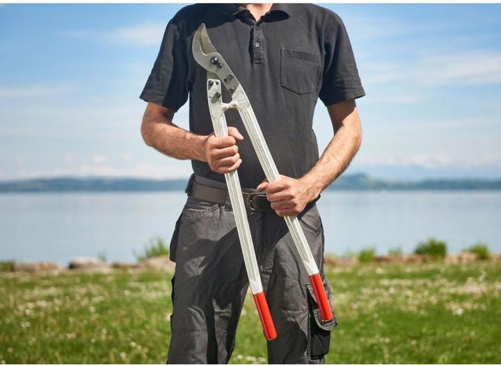 Actual product image Felco Two-hand shears
